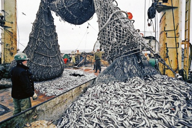 27 июня - Всемирный день рыболовства - «Новости рыбалки»