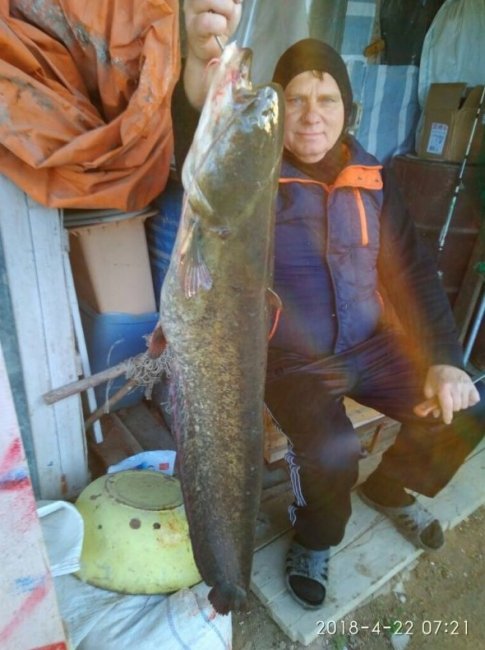 Приглашаем на рыбалку в Астрахань - «Статьи для рыбака»