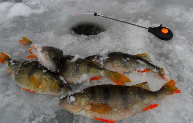 Рыбалка в глухозимье на озерах. Часть 2. Правильно готовим лунки и выбираем снасти - «Зимняя рыбалка»