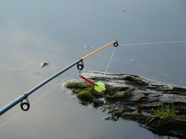 Рыбалка в мае - «Объекты ловли»