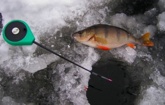 Уловистая снасть с мормышкой и крючком, которая ловит рыбу на протяжении всей зимы - «Снастей для ловли»