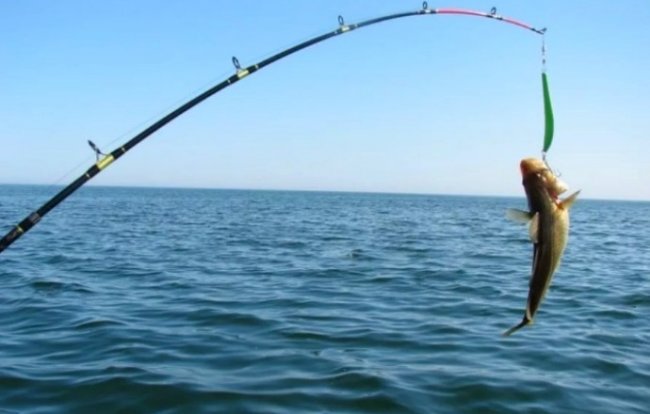 Увлекательная рыбалка на Чёрном море - «Летняя рыбалка»