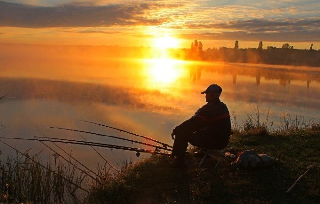 Краткие советы по различным способам ловли, которые будут полезны каждому рыболову. - «Статьи для рыбака»
