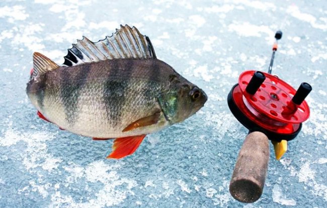 Советы по зимней рыбалке - «Зимняя рыбалка»