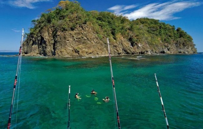 Океанская рыбалка в Коста - Рике - «Статьи для рыбака»