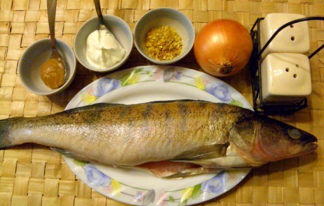 Готовим Судака. Лучшие рецепты приготовления блюд из судака - «Рецепты блюд из рыбы»
