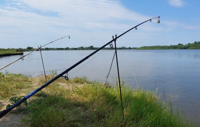 Летняя рыбалка. Поведение рыбы в летнее время года - «Летняя рыбалка»