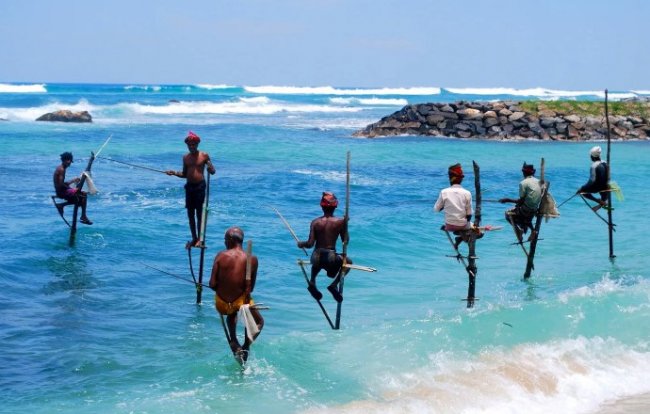 Морская и речная рыбалка для туриста на Шри-Ланке. - «Статьи для рыбака»