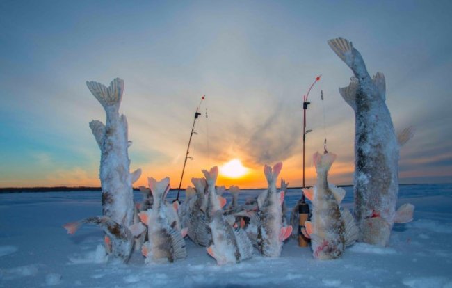 Что нужно знать начинающему рыбаку о летней и зимней рыбалке - «Статьи для рыбака»